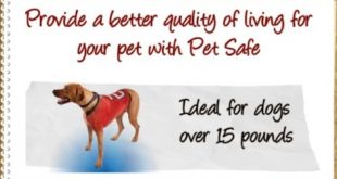 PetSafe Extra Collar for Wireless Containment for dogs 6 28 neck Red