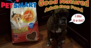 Petsmart Good Natured Adult Dog Food Review