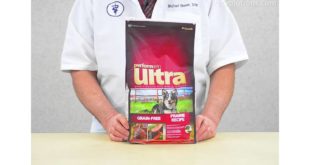 PetSolutions: Performatrin Ultra Grain-Free Prairie Recipe Dog Food