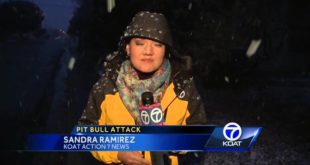 Pit Bulls Kill Two Small Dogs