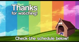 Pokken Highlights from the Doghouse 6/27/16