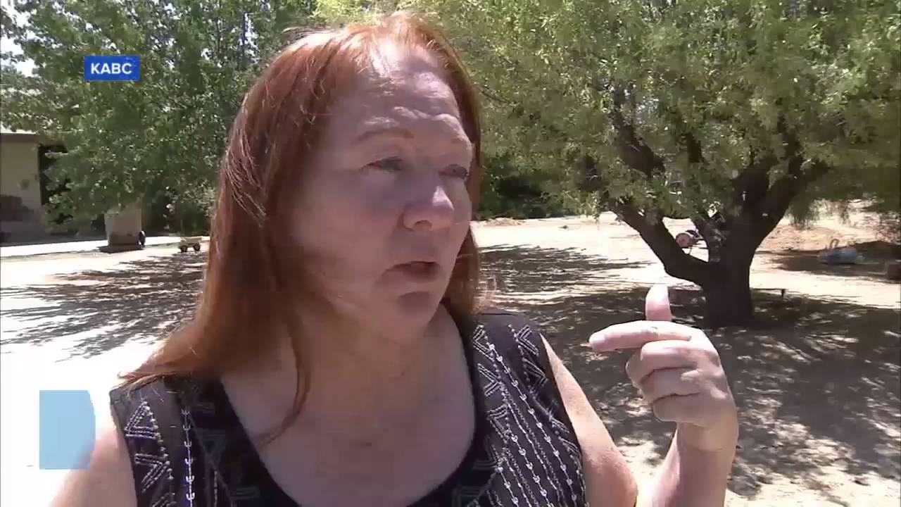 Police Shoot Beloved Dog After Responding To Wrong House