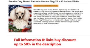 Poodle Dog Breed Patriotic House Flag 28 x 40 Inches White
