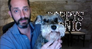 Poppy’s Picnic Raw Dog Food: A healthy dog is a happy dog!