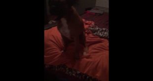 Post bath time