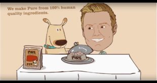 Pure dog food UK,  pure dog food review