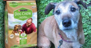 Purina Dog Chow – Natural (w/ vitamins & minerals) – Dog Food Review