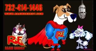Raaw Energy Dog Food Video