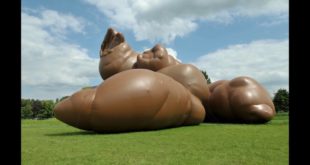 Raw dog food benefits: Dog poo – keeping it normal (and healthy)