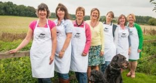 Raw dog food for sale: All about Honey’s Real Dog Food