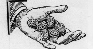 Raw dog food news: The unpalatable truth about manufactured dog food