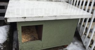 RCMP style Extreme weather Dog House in Quebec Canada for sub temps -20F