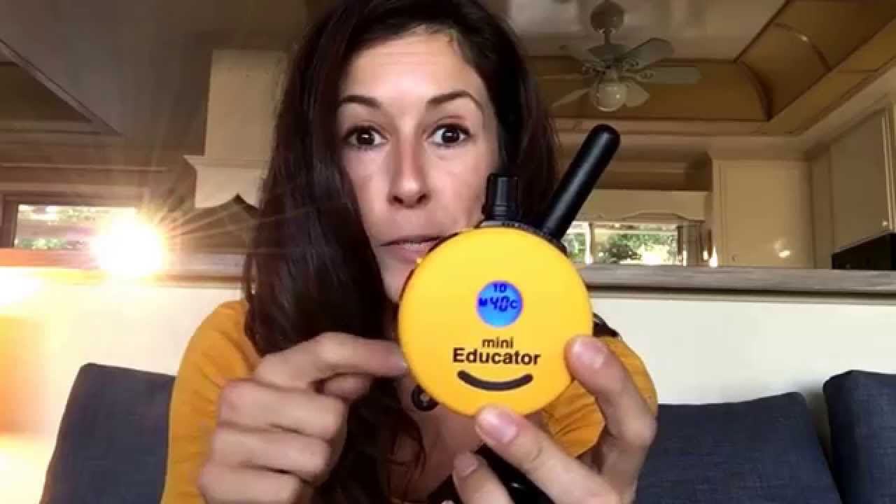 Remote collar dog training: information about the Mini Educator device we most commonly use