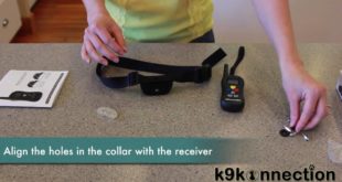 Remote Dog Training Collar – 16 Levels of Shock, Vibration and Tone with Backlight LCD
