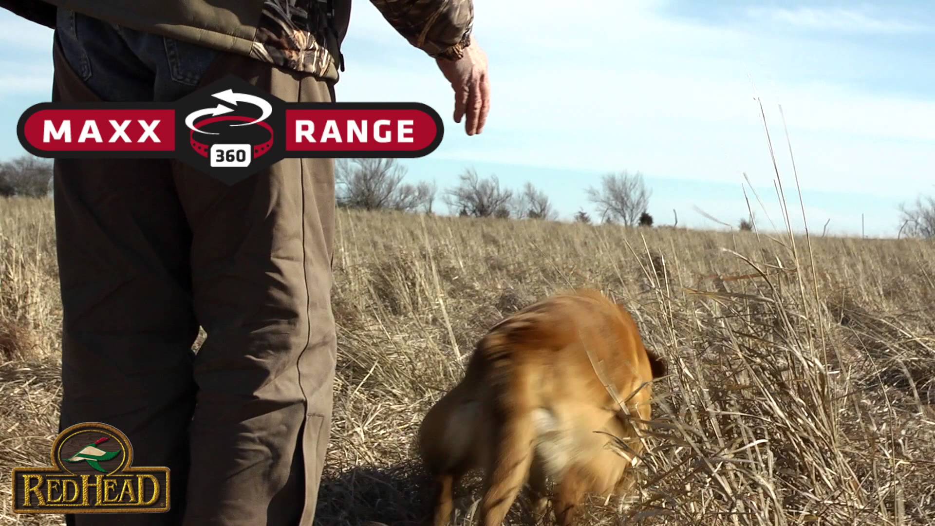 RH Pro 1000 Dog Training E-Collar