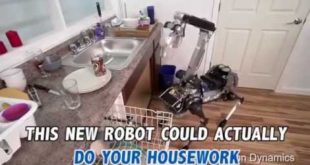 Robotic Dog that can do house chores for you
