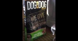Rufus and Dog for Dog food