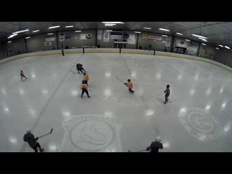 Semi-Finals Weekend In The Dog House