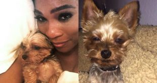 Serena Williams Eats Dog Food