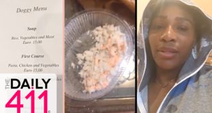 Serena Williams Eats Gourmet Dog Food & It Backfires