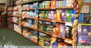 Shop For Dog Food in Delhi Rohini