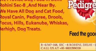 Shop For Dog Food in North Delhi