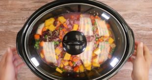Slow Cooker Dog food