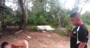Small boys beating dogs!! Watch till the end