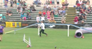 Small Dog Agility Winner – 2016 Purina® Pro Plan® Incredible Dog Challenge® Western Regionals