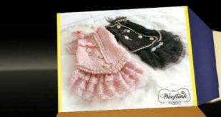 Small Dog Clothes – Must Have Accessories For Every Upscale Pup