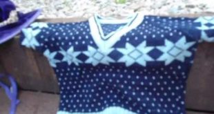 Small Dog Clothes: Rain coat, sweaters, Rocker Jacket …