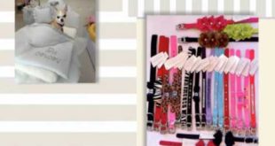 Small Pet Clothes – For The Fashionable Little Dog In The Spotlight