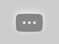 South Park Doggie LAX – Small Dogs Live Stream