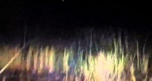Sparkler bomb vs