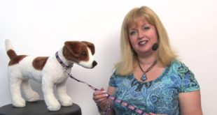 Stars n Stripes Dog Collar and Leash Set by Diva Dog