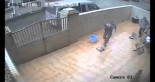Stealing a a Dog Guarding the House