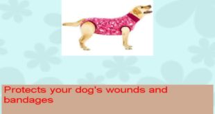Suitical Recovery Suit Small for Dogs in Pink Camo Professional alternative to the Cone of Shame