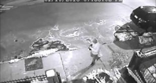 Summer St Break-in Suspect with Dog(s)