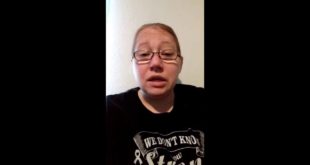 T-shirts, cat stealing pitbull’s food and back up service dog