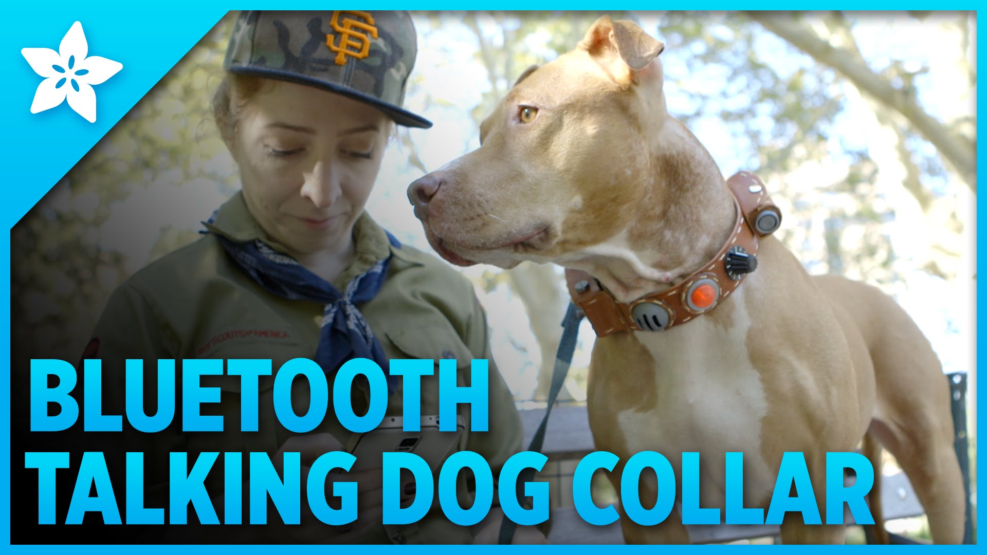 Talking Dog Collar with Bluetooth Control