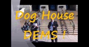 The Dog House DEMS   2016 Right to Rest  Rally