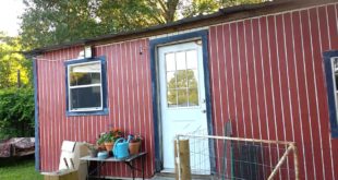 The Dog House walkthrough 6