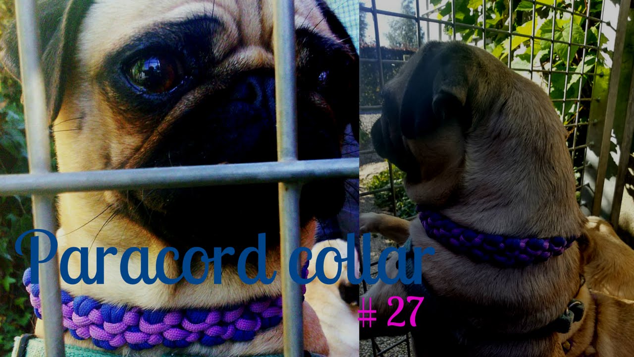 The dog paracord collar for Pepa