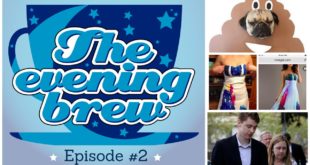 The Evening Brew #2: Dog Poo, Shady Clothing Sites, Brock Turner & More!