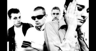 The Pecadiloes – Dog Food