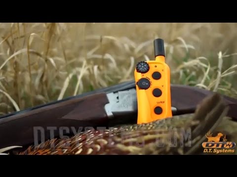 The Perfect Electronic Dog Collar for Upland Hunters – R