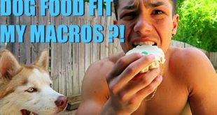 The Shredding Chronicles Ep
