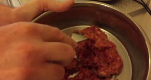 This is what our Raw Dog Meals look like