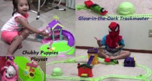 Thomas & Friends Percy’s Midnight Mail Delivery + Chubby Puppies Ultimate Dog Park Playset