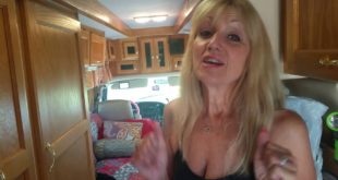 Tips when traveling in small spaces and 2 dogs